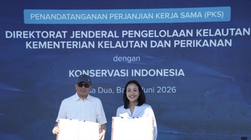 Sinergi KI-KKP Targetkan Penguatan Ekosistem Laut Sumatra hingga Papua