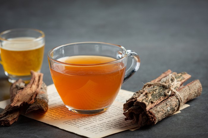 minuman sehat untuk menjaga tubuh tetap terhidrasi