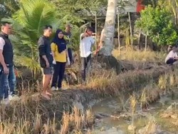 Wanita Ditemukan Tewas di Sawah Kalaena Luwu Timur, Ada Luka di Kepala