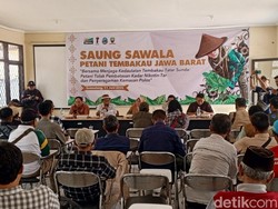 Rencana Kemasan Seragam Bikin Petani Tembakau di Jabar Resah