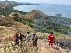 Bukit Sylvia Labuan Bajo Terbakar, 19 Hektare Lahan Hangus