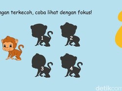 Kejelian Mata Bakal Diuji, Tebak Bayangan yang Sesuai dengan Gambar
