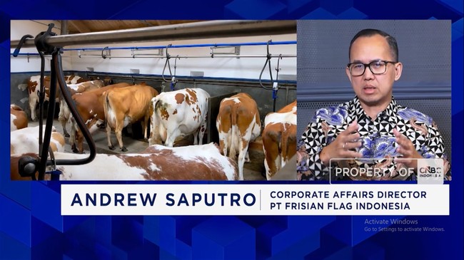 Program MBG: Target Produksi Susu Lokal Naik, Impor Turun