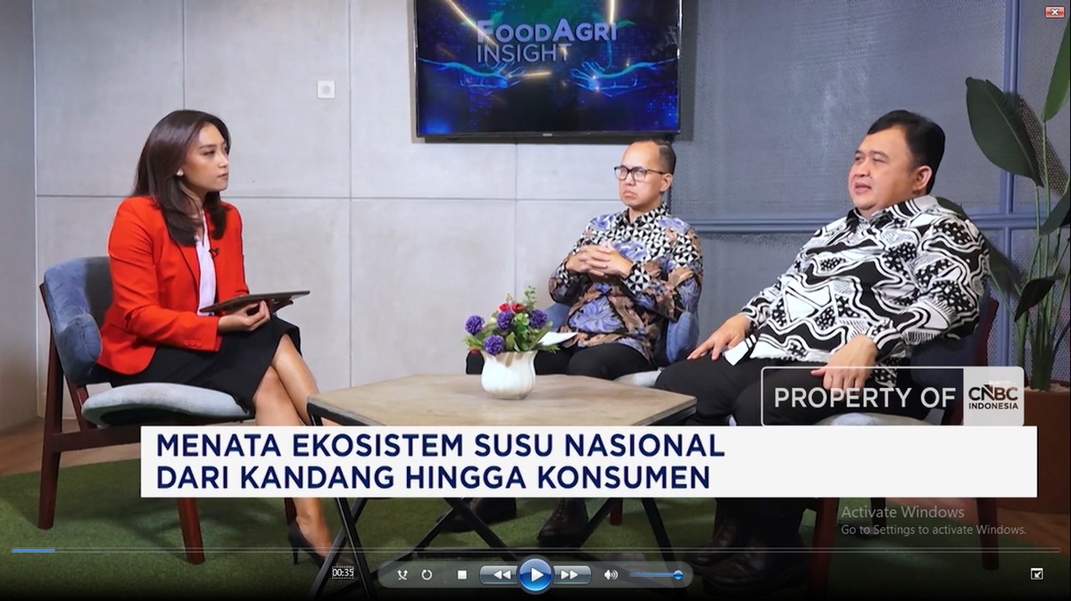 Video: Dorong Produksi Susu Lokal, Saatnya Anak Muda Beternak Sapi 
