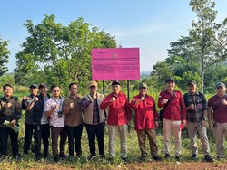 Kejagung Sita 9 Bidang Tanah Milik Bos Smelter Terpidana Korupsi Timah