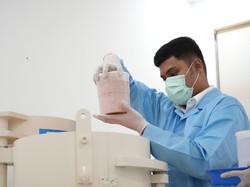 RI Punya Lab Uji Radioaktif Produk Perikanan, Pertama di Asia Tenggara