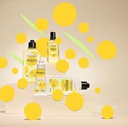 L'Occitane Rilis Koleksi Terbatas Mimosa Verveine, Ada Body Wash hingga Parfum