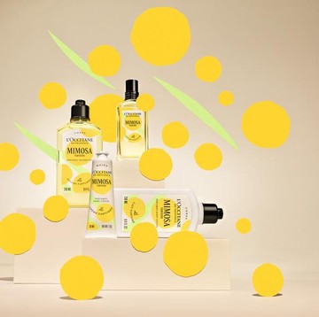 L'Occitane Rilis Koleksi Terbatas Mimosa Verveine, Ada Body Wash hingga Parfum