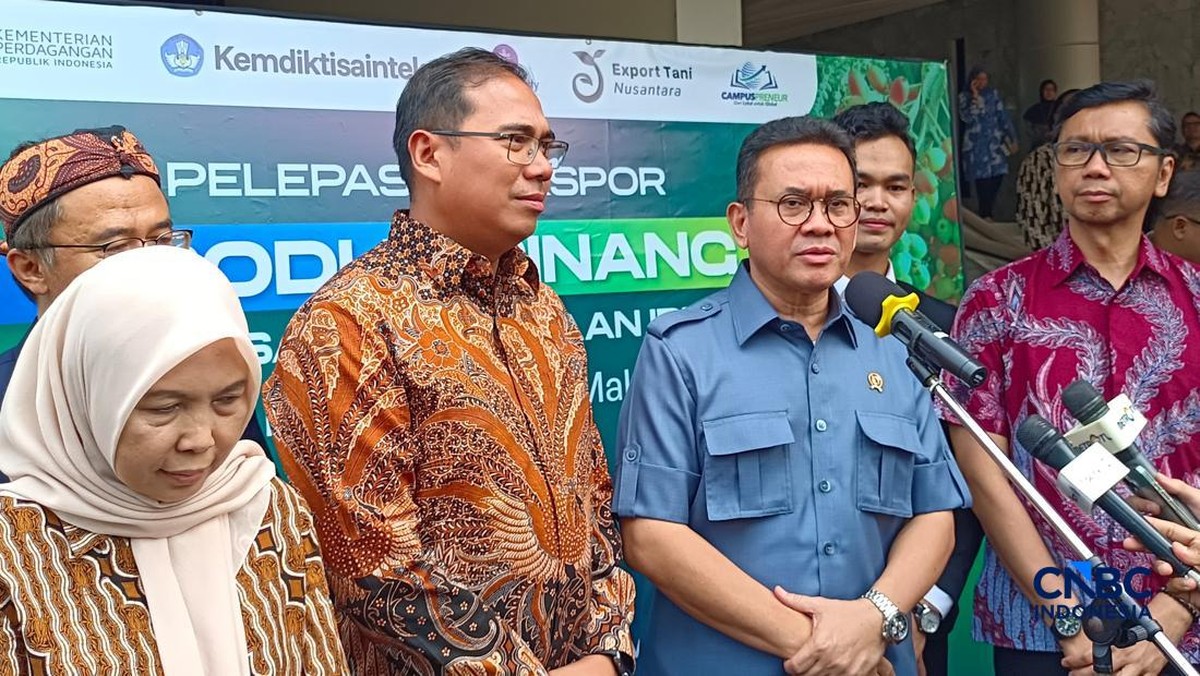 Tak Jadi Naik! HET Minyakita Tetap Rp15.700, Ini Penjelasan Mendag