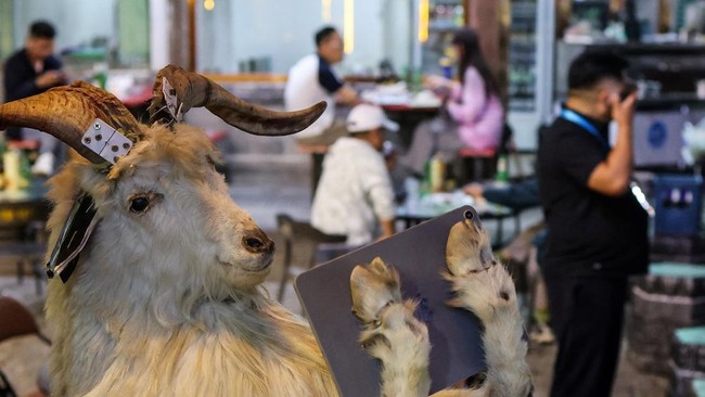 A goat taxidermy with a model of an iPad seen next to a street cafe in Saishang Old Street in Hohhot, Inner Mongolia autonomous region, China, June 10, 2026. REUTERS/Maxim Shemetov