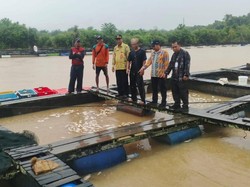 Jutaan Ikan Keramba Mati di Sungai Mempawah, Bupati Siapkan Pemulihan