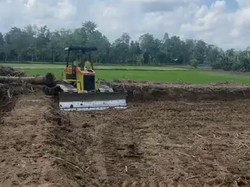 Pemkab Luwu Utara Cetak 2.960 Hektare Sawah Baru hingga Juni 2026