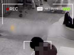 Video Viral Pria Lecehkan Anjing Pom di Kafe Jakut, Polisi Cek Kejiwaan Pelaku