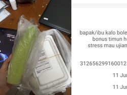 Service Bintang 5! Warung Nasi Goreng Kasih Timun Utuh Buat Lalapan