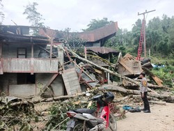 Pohon Tumbang Timpa 2 Rumah di Mamasa, Listrik Satu Kecamatan Ikut Padam