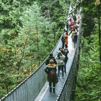 7 Rekomendasi Tempat Trekking Dekat Jakarta, Seru dan Menantang!