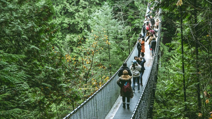 7 Rekomendasi Tempat Trekking Dekat Jakarta, Seru dan Menantang!