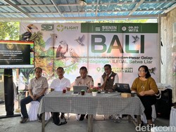 Bali Jadi Rute Utama Perdagangan Satwa Liar Ilegal