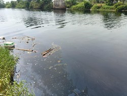 Diduga Tercemar, Sungai Ciujung Serang Berwarna Hitam dan Bau Menyengat