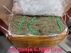 Bareskrim Gagalkan Pengiriman 5,8 Kg Ganja di Jatim, 3 Orang Ditangkap