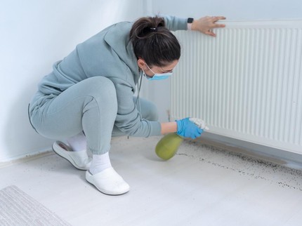 7 Cara Mencegah Semut Masuk ke Dalam Rumah, Segera Coba!
