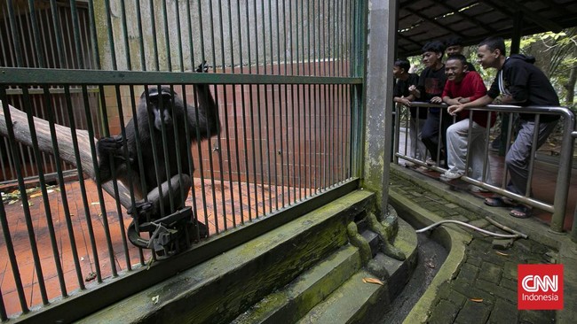 Libur Tahun Baru Islam, Ragunan Jadi Destinasi Favorit Keluarga