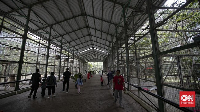 Libur Tahun Baru Islam, Ragunan Jadi Destinasi Favorit Keluarga