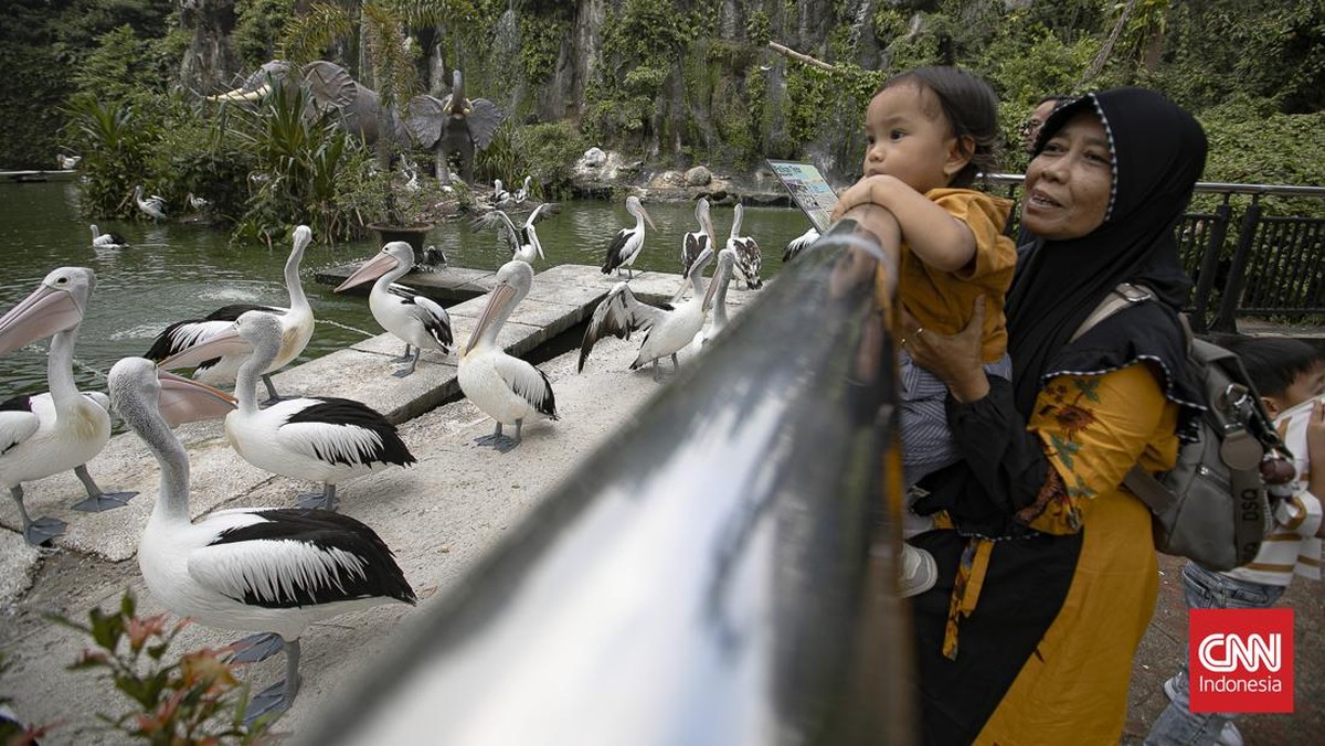 Libur Tahun Baru Islam, Ragunan Jadi Destinasi Favorit Keluarga