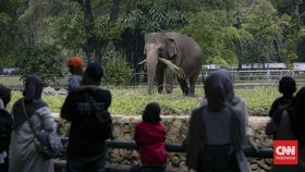 Warga Jakarta Bisa Masuk Ragunan Gratis Tiga Hari, Catat Tanggalnya