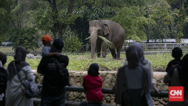 Libur Tahun Baru Islam, Ragunan Jadi Destinasi Favorit Keluarga