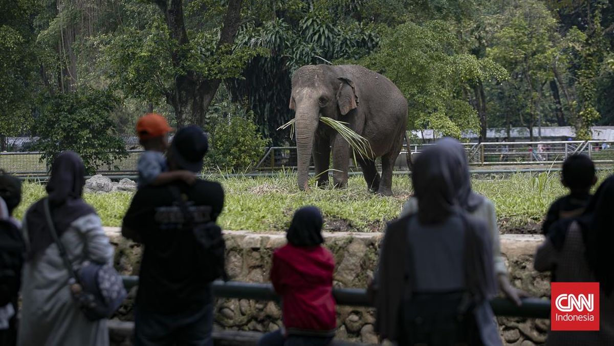 Warga Jakarta Bisa Masuk Ragunan Gratis Tiga Hari, Catat Tanggalnya