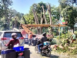 Macet Parah di Gunungsari Surabaya, Ternyata Ada Perantingan