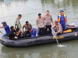 Ribuan Benih Ikan Nila Ditebar di Kolam Retensi Kampung Iklim Bangka Barat