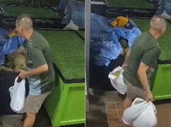Terekam CCTV, Pria Ini Nekat Curi 9 Durian Black Thorn senilai Rp 3 Juta!