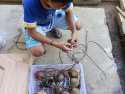 Mengenal Begasing, Permainan Tradisional Asal Kutai yang Masih Eksis
