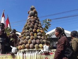 Warga Trenggalek Rebutan Tumpeng Durian dalam Tradisi Larung Sembonyo