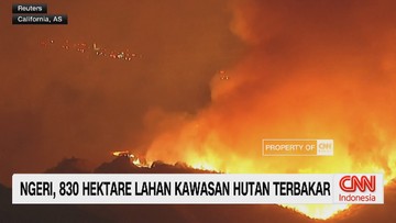 VIDEO: Ngeri! 830 Hektare Lahan Kawasan Hutan Terbakar