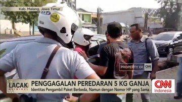 VIDEO: Tim Gabungan Gagalkan Peredaran 5 Kilogram Ganja di Malang