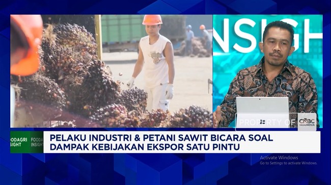 Video: Curhat Petani dan Pengusaha Sawit Soal Ekspor Satu Pintu