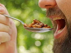 Dikira Bikin Jijik, Protein Bar Berbahan Serangga Justru Dipuji Rasanya