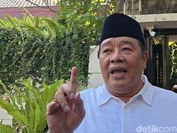 Jokowi Dituding Bujuk Kader PDIP Masuk PSI, Bestari Barus: Itu Hak Privat