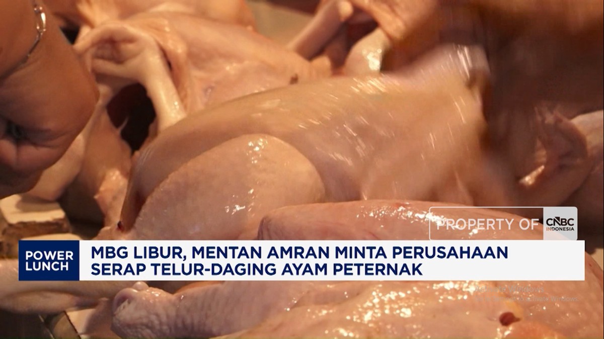 MBG Libur, Mentan Minta Perusahaan Serap Telur-Daging Ayam Peternak