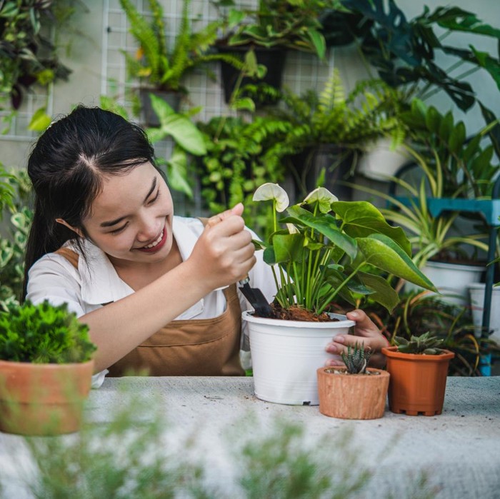 Berkebun juga bisa menjadi opsi hobi untuk INFJ menyalurkan ide dan imajinasi mendalamnya di belakang rumah/Foto: Freepik/Jcomp