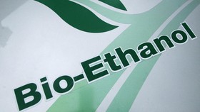 Photo taken 01 June 2006 in Chalons-en-Champagne of a bioethanol (EBS) logo on a car powered by this petrol substitute. Bioethanol fuel is mainly produced by the sugar fermentation process.
