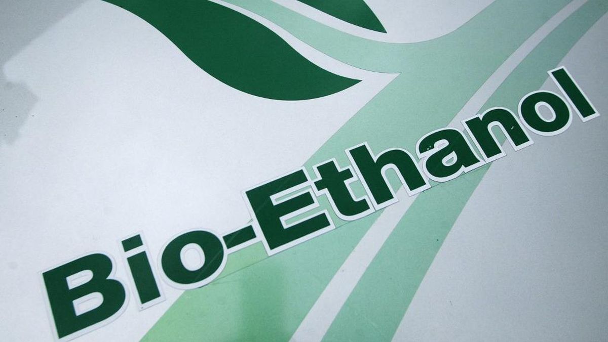 Viral Lubang Tangki Bensin Bioetanol E20 Dikerubungi Semut
