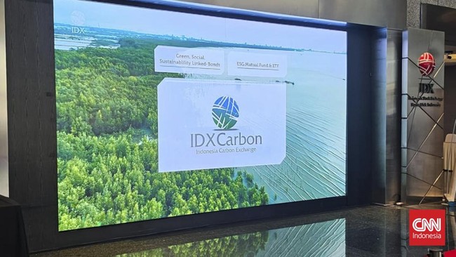IDX carbon
