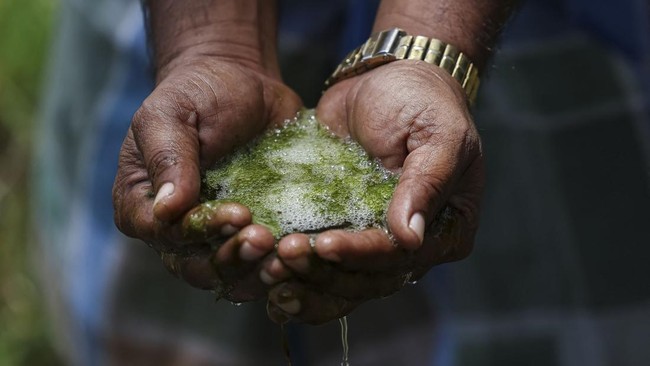 Tamil Nadu Pollution Control Board menutup kasus dugaan pencemaran air tanah di pabrik komponen iPhone setelah berbulan-bulan investigasi.