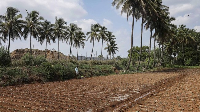Tamil Nadu Pollution Control Board menutup kasus dugaan pencemaran air tanah di pabrik komponen iPhone setelah berbulan-bulan investigasi.