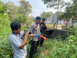 Warga Temukan Bayi Baru Lahir dengan Mulut Diplester di Cilegon