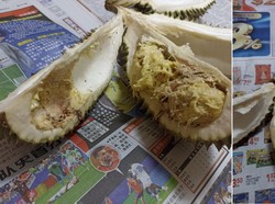 Apes! Borong 15 Durian saat Promo, Isinya Busuk Semua